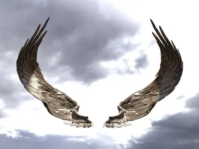 Serafim Curved wings 4  3D model