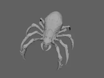 Spider 3D model 25
