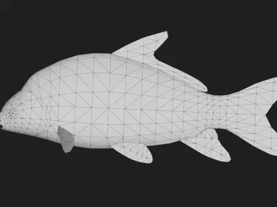 Carp fish Low-poly 3D model