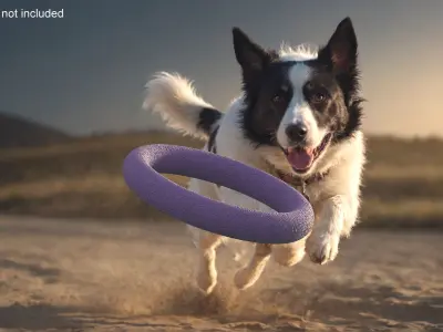 Interactive Dog Toy Puller Midi Used 3D model
