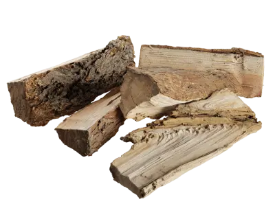  Split Assorted Firewood Models Collection 