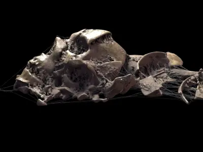 Broken Skulls with Spider Webs COLLECTION 3D model