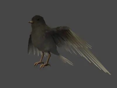 Small Bird 3D model