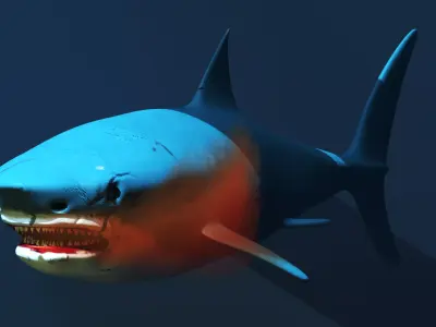Shark 3D model 10