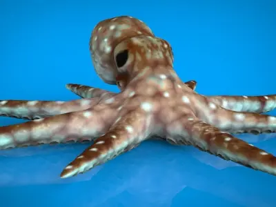 OCTOPUS Low-poly 3D model