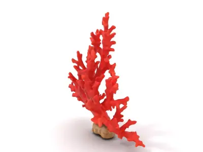 Vibrant Coral Reef model pack Low-poly 3D model