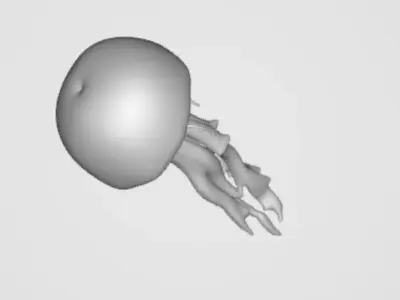 Jellyfish 3D model purchase