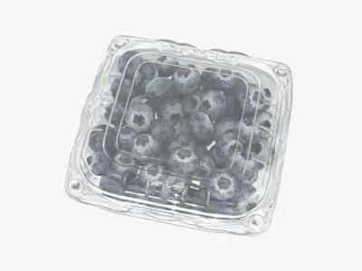 Blueberry Package 3D model
