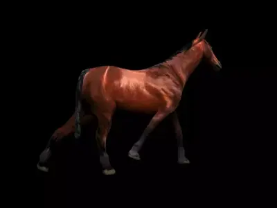 Walking Horse 3D Model Low-poly 3D model
