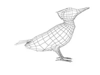 Woodpecker Low Poly Rigged with high quality texture  Low-poly 3D model