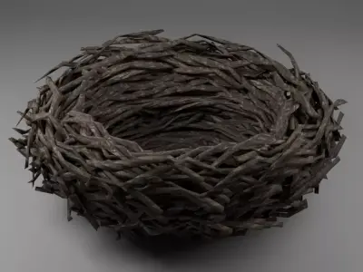 Nest Optimized Free low-poly 3D model