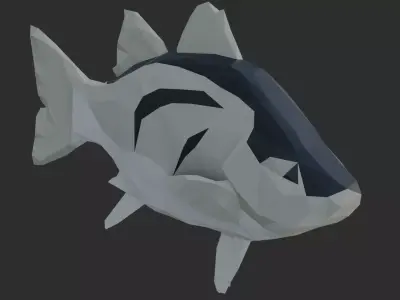 Low Poly White Bass Low-poly 3D model