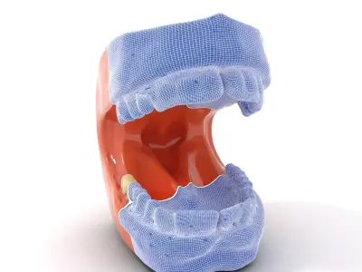 Realistic Dentist Teeth model pack Low-poly 3D model