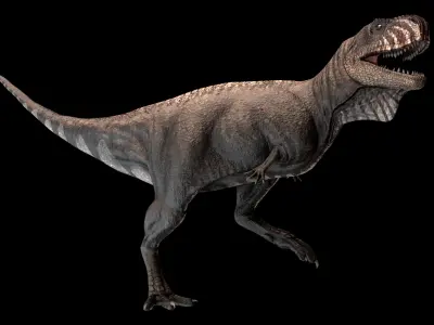 Skorpiovenator Dinosaur Asset Pack Low-poly 3D model