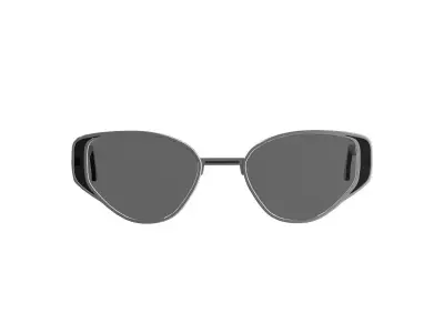 Steel Cat-eye Sungalsses 3D model