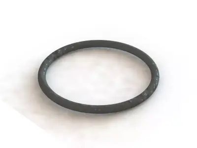 O Ring Vedabras 12572 3D model