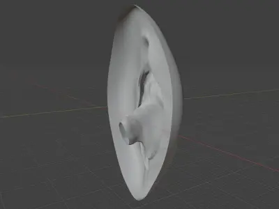 Anatomically correct vulva 3D model
