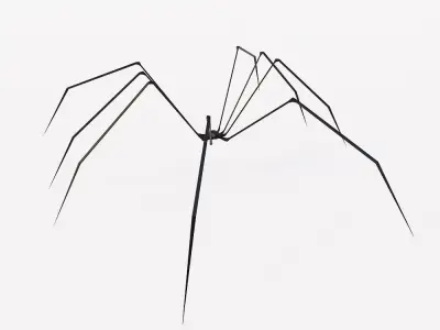 Spider low poly 3d model sculpture Free low-poly 3D model