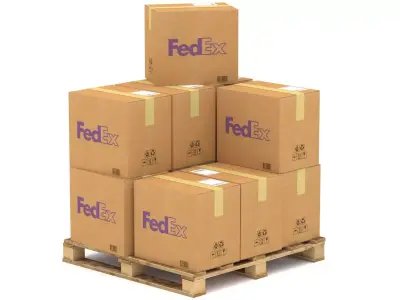 Fedex Cardboard Box with Pallet 3D model