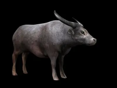 3DS Max Water Buffalo Rigged Low-poly 3D model