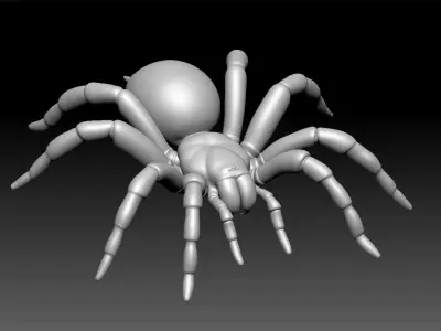 Tarantula Low-poly 3D model purchase