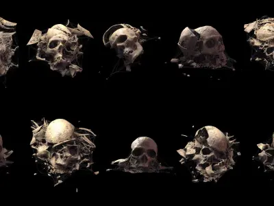 Broken Skulls with Spider Webs COLLECTION 3D model