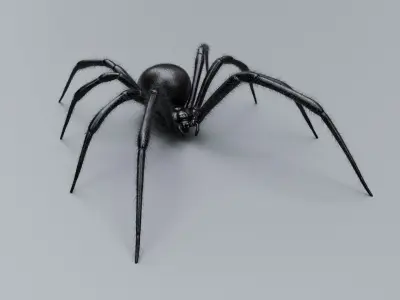 Black Widow Spider Low-poly 3D model buy