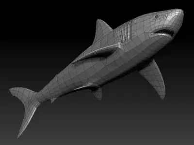 3D SHARK Low-poly 3D model