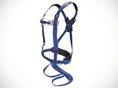 security harness 3d model 3D model