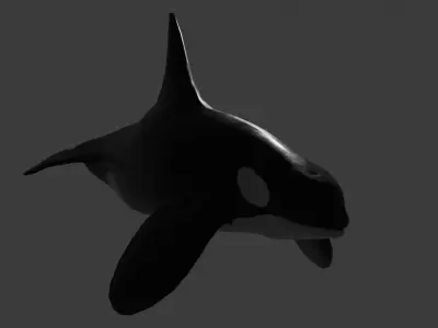 Orca wheel Rig Optimize game ready for unreal and unity Low-poly 3D model