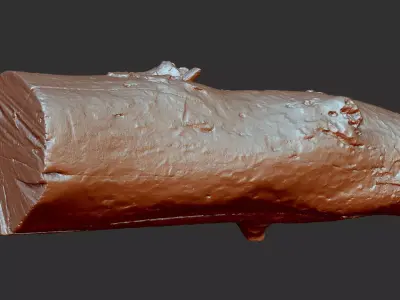 Tree trunk wood ZBrush engraving highpoly 3D model