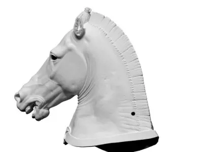 Horse Head Mask 3D model