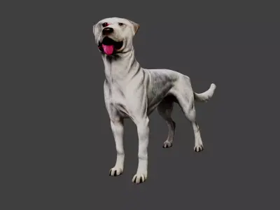 Dog Animal Low-poly 3D model order
