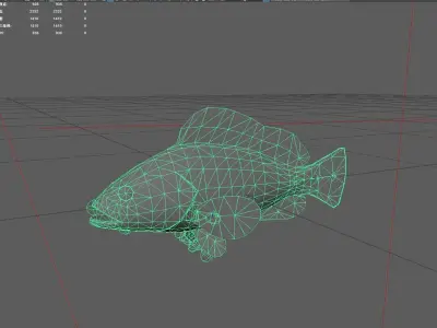 Grouper Low-poly 3D model 4
