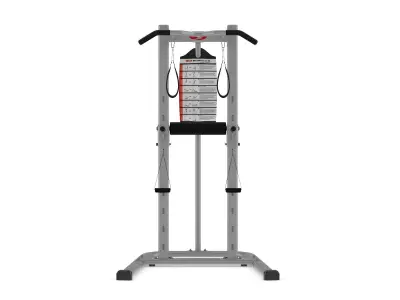 Bowflex BodyTower 3D model