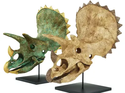 Triceratops skull 3D model purchase