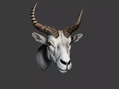 Deer Animal Head Low-poly 3D model 11
