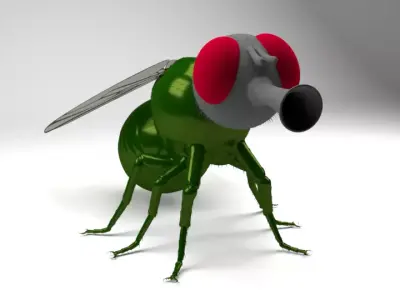 Fly - Insect - Mosca 3D model