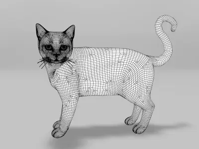 Burmese Cat Rigged Low-poly 3D model