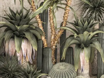  Collection of tropical desert plants 1108A 