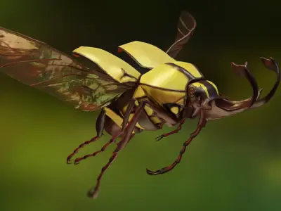 Flower beetle 3D print model