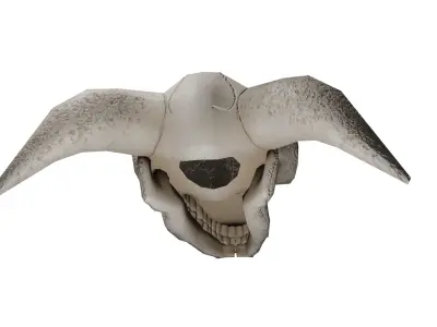 Game optimized Demon Cow Skull Creature Low-poly 3D model