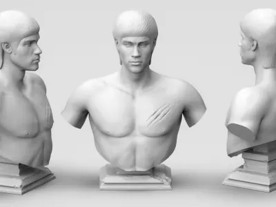 BRUCE LEE 3D Printable 3D print model