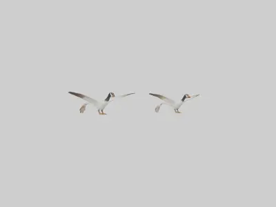 Goose flying in formation model Low-poly 3D model