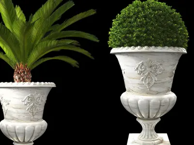 Plant Collection 05 3D model