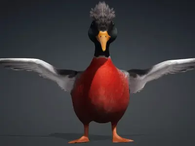 Duck-B3 3D model