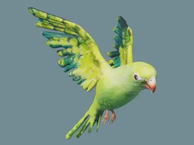 parrot parakeet flying in sky Low-poly 3D model