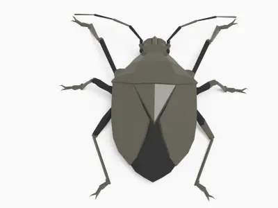 Bug low poly polygonal Low-poly 3D model