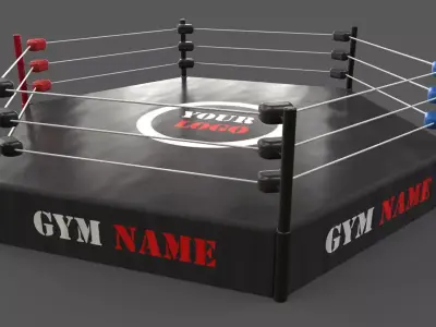 PBR Modular TNA Six sided Hexagon Wrestling Rings Low-poly 3D model