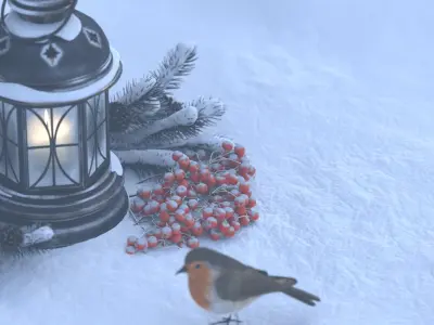 Robin 3D model